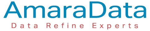 AmaraData — Data Refine Experts